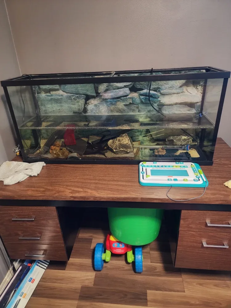 2 x 55 gallon aquariums