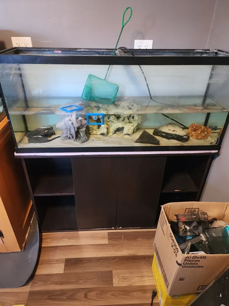 2 x 55 gallon aquariums image indicator(2)