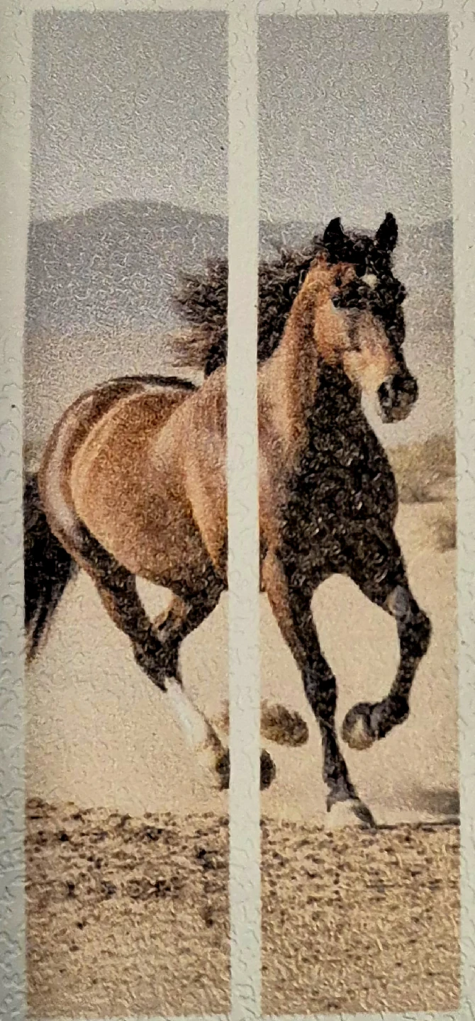 Horse Peel & Stick Vinyl Door Mural 78"×30" - photo 3