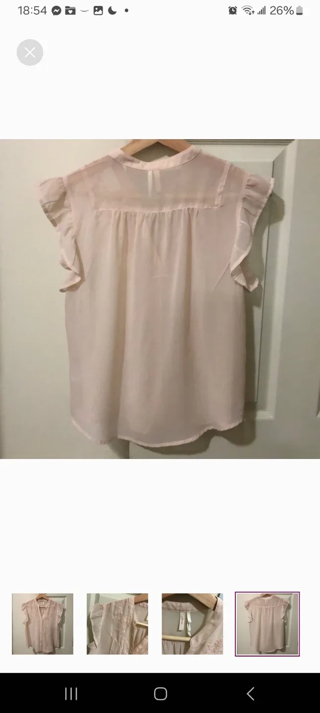 Frenchie sheer Light Pink Blouse - Size S image indicator(4)