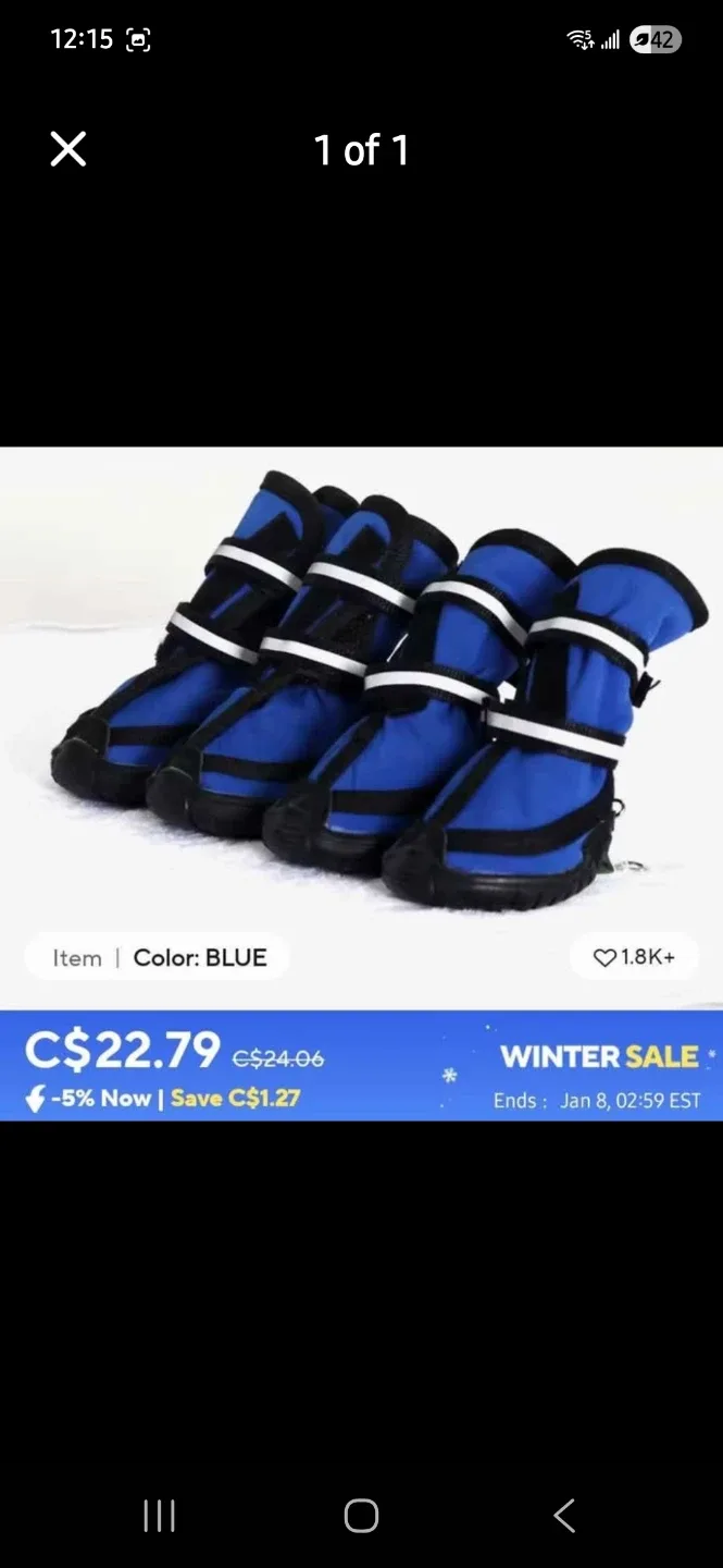 Blue Dog Winter Boots - Size XS image indicator(2)