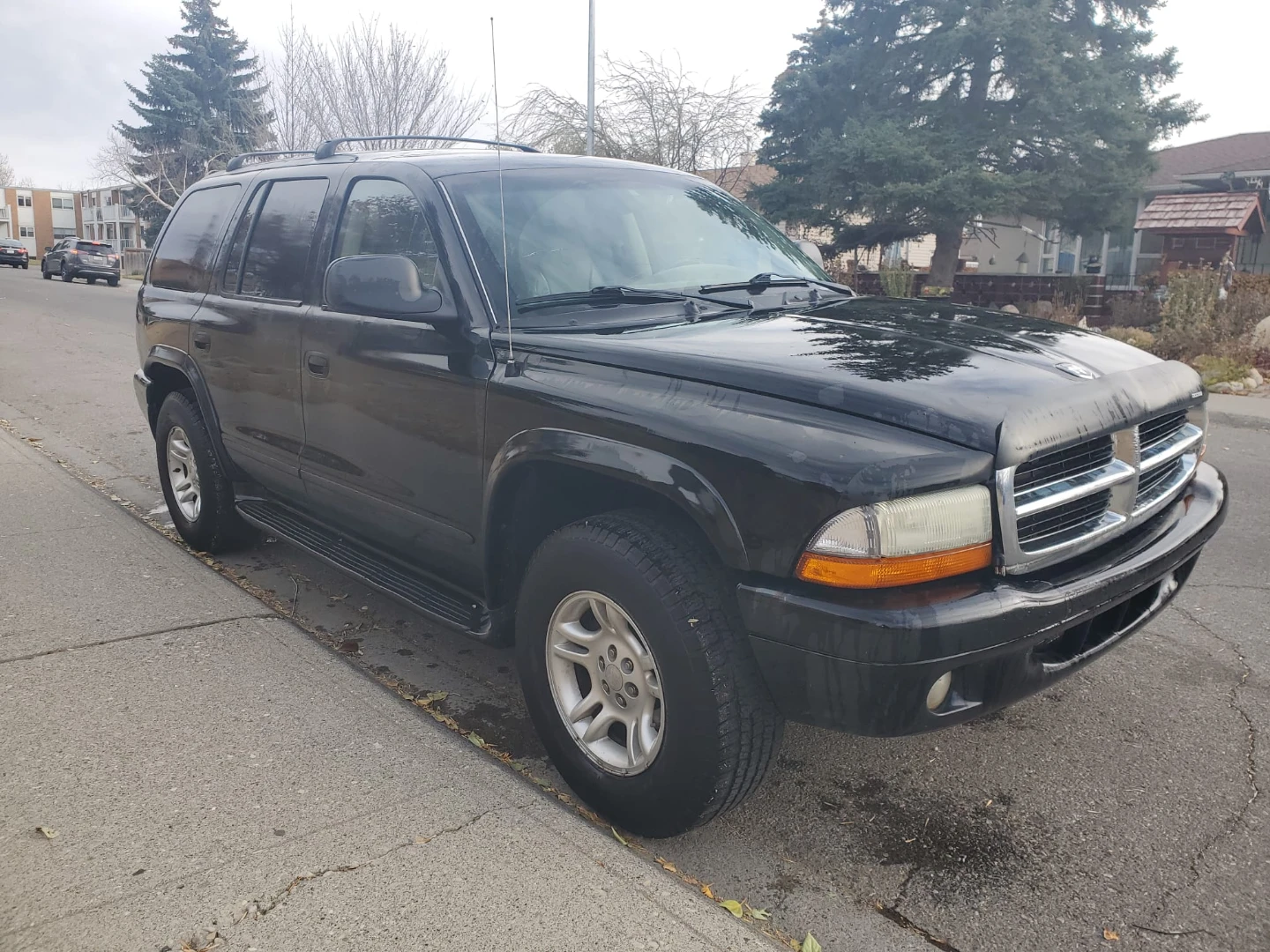 2003 Dodge Durango - photo 2