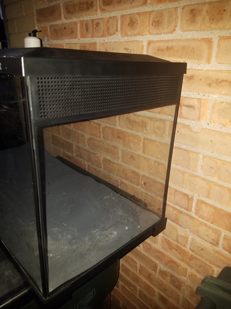 reptile tank - photo 4