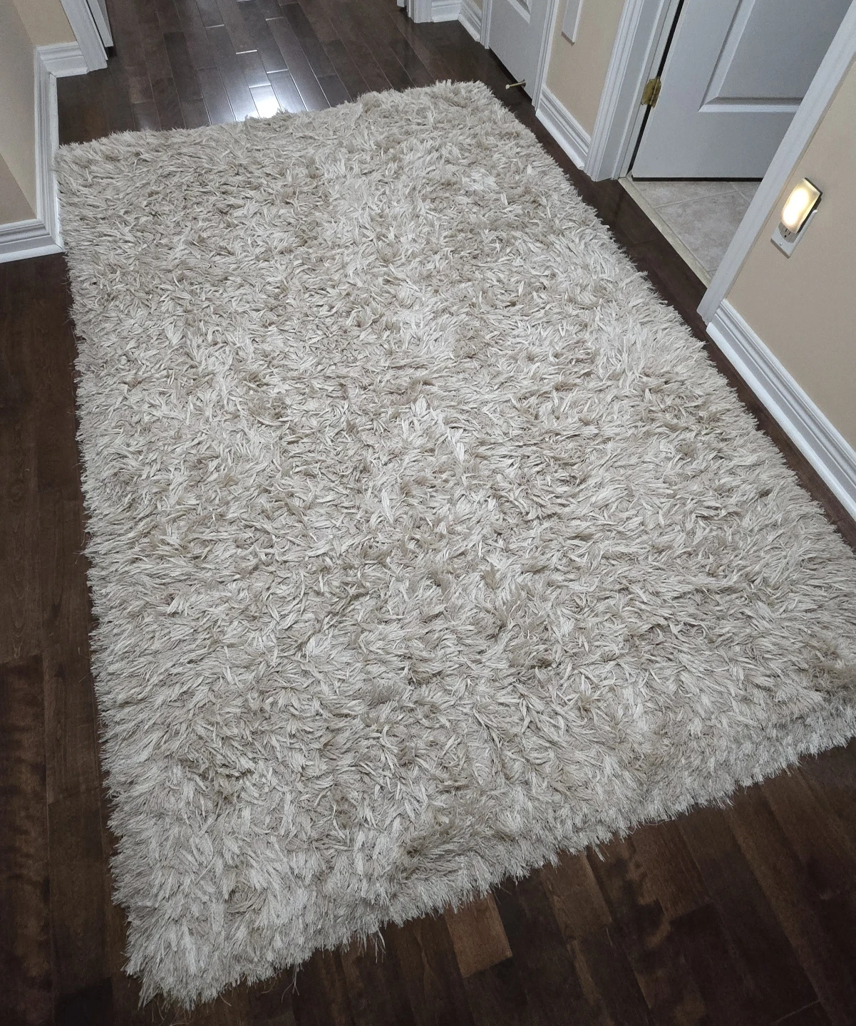 Shaggy Area Rug - Beige
