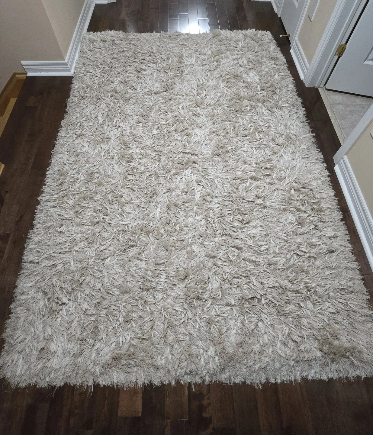 Shaggy Area Rug - Beige - photo 2