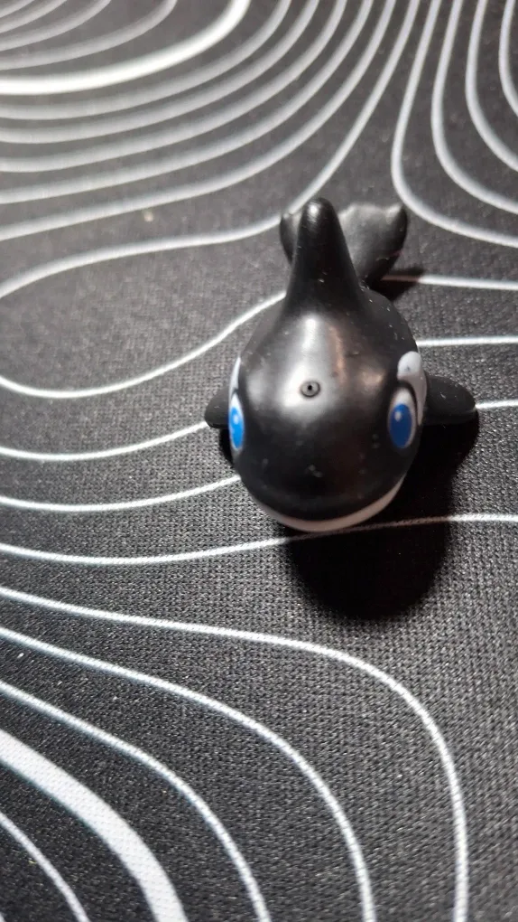 Tiny whale that squirts 🐳🐳🐳 image indicator(3)