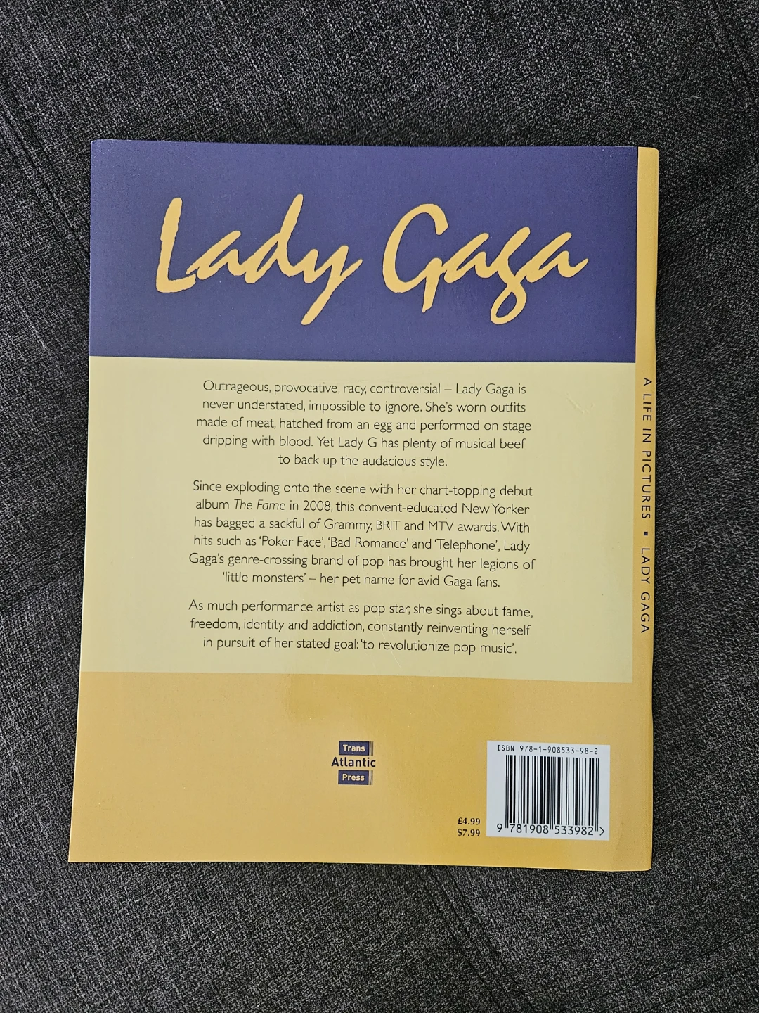 Lady Gaga: A Life In Pictures by Marie Clayton 48 page book - photo 2