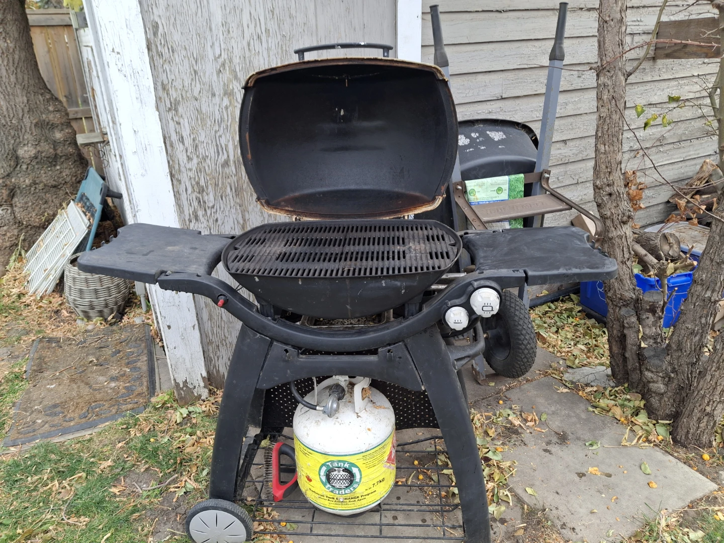 Weber Gas Grill on stand, with cover - photo 3