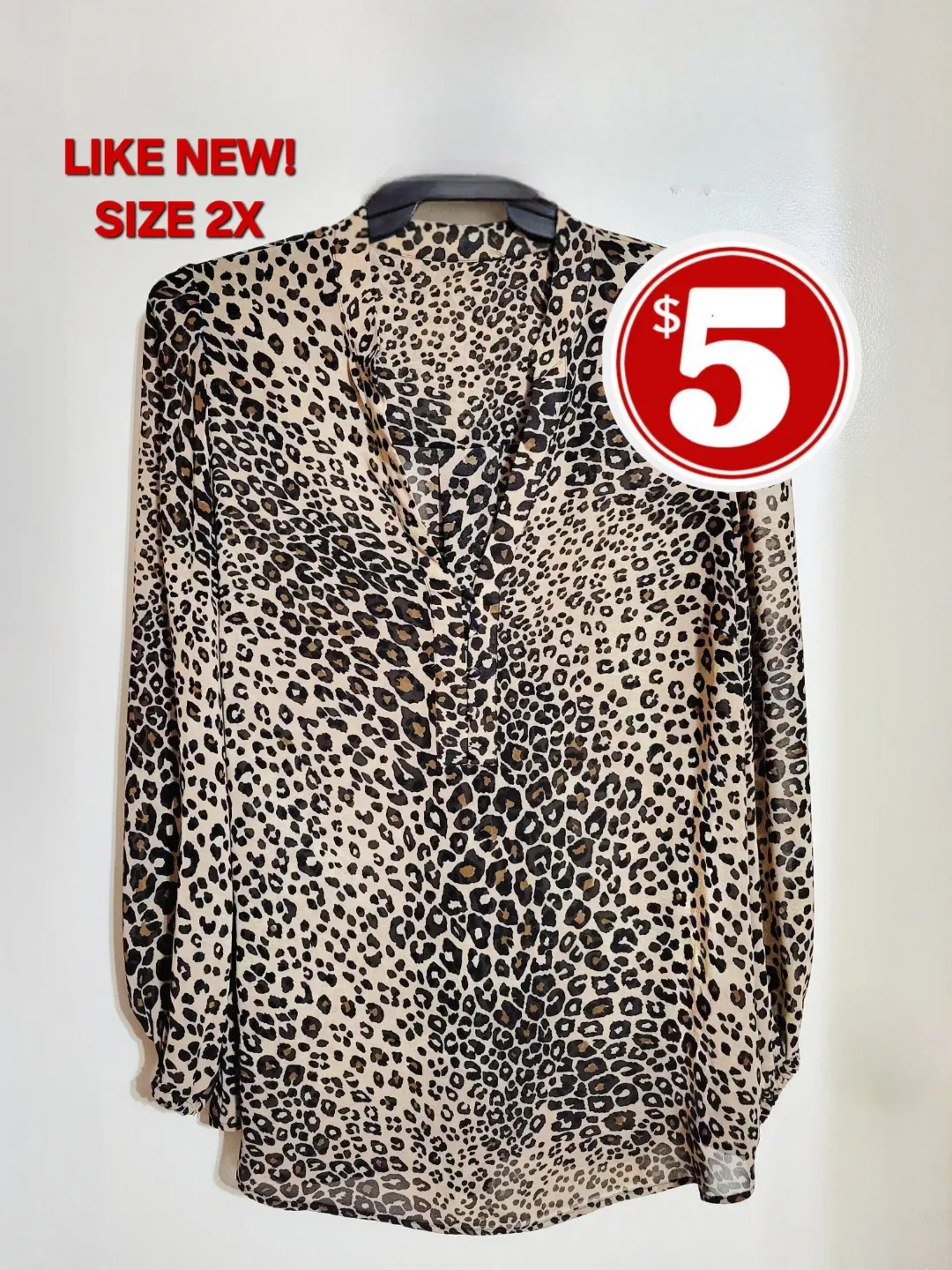 Animal Print Blouse thumbnail