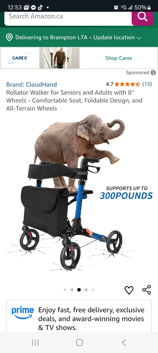 Rollator Walker brand new image indicator(3)