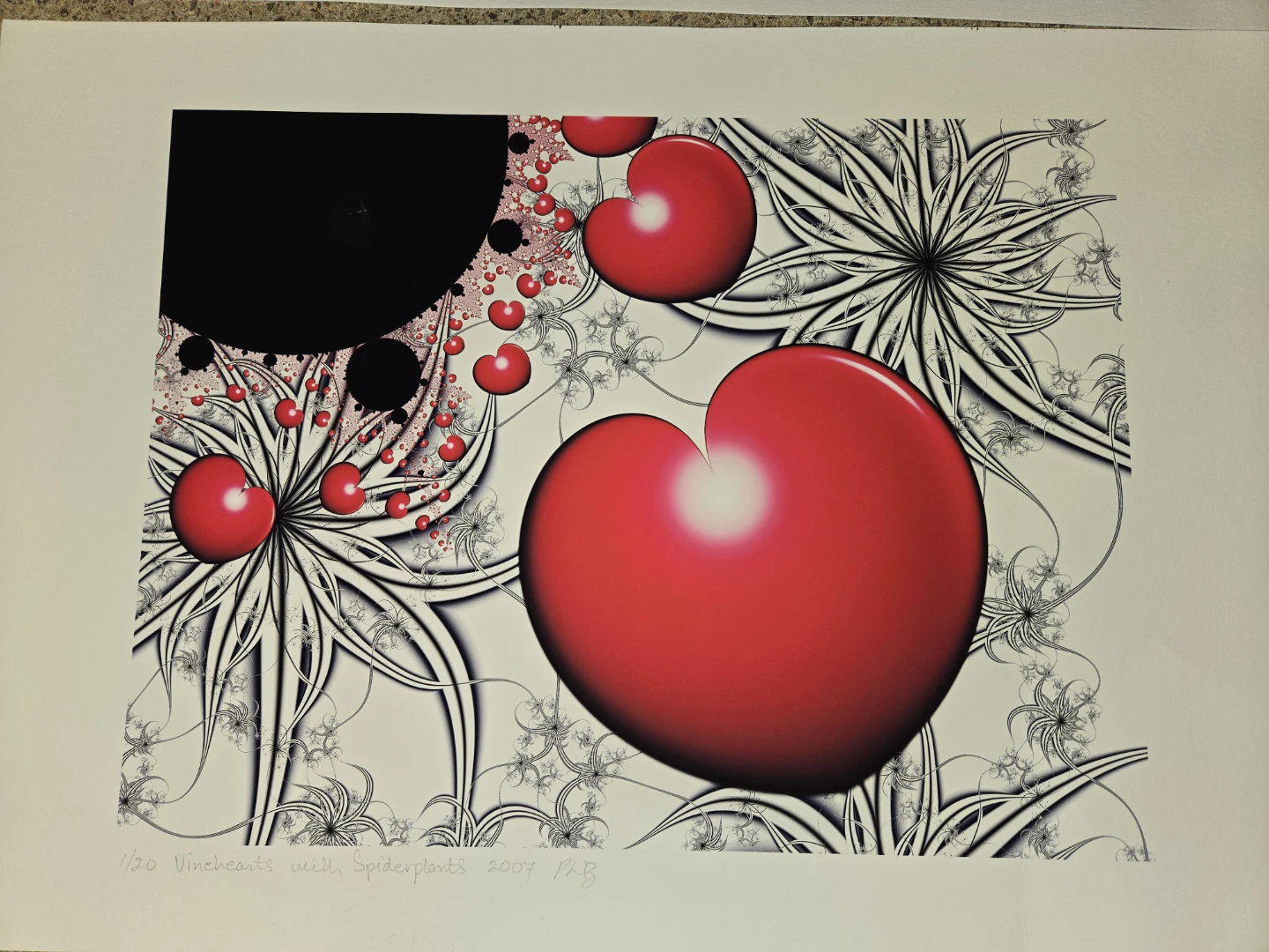 Vinehearts with Spiderplants Print