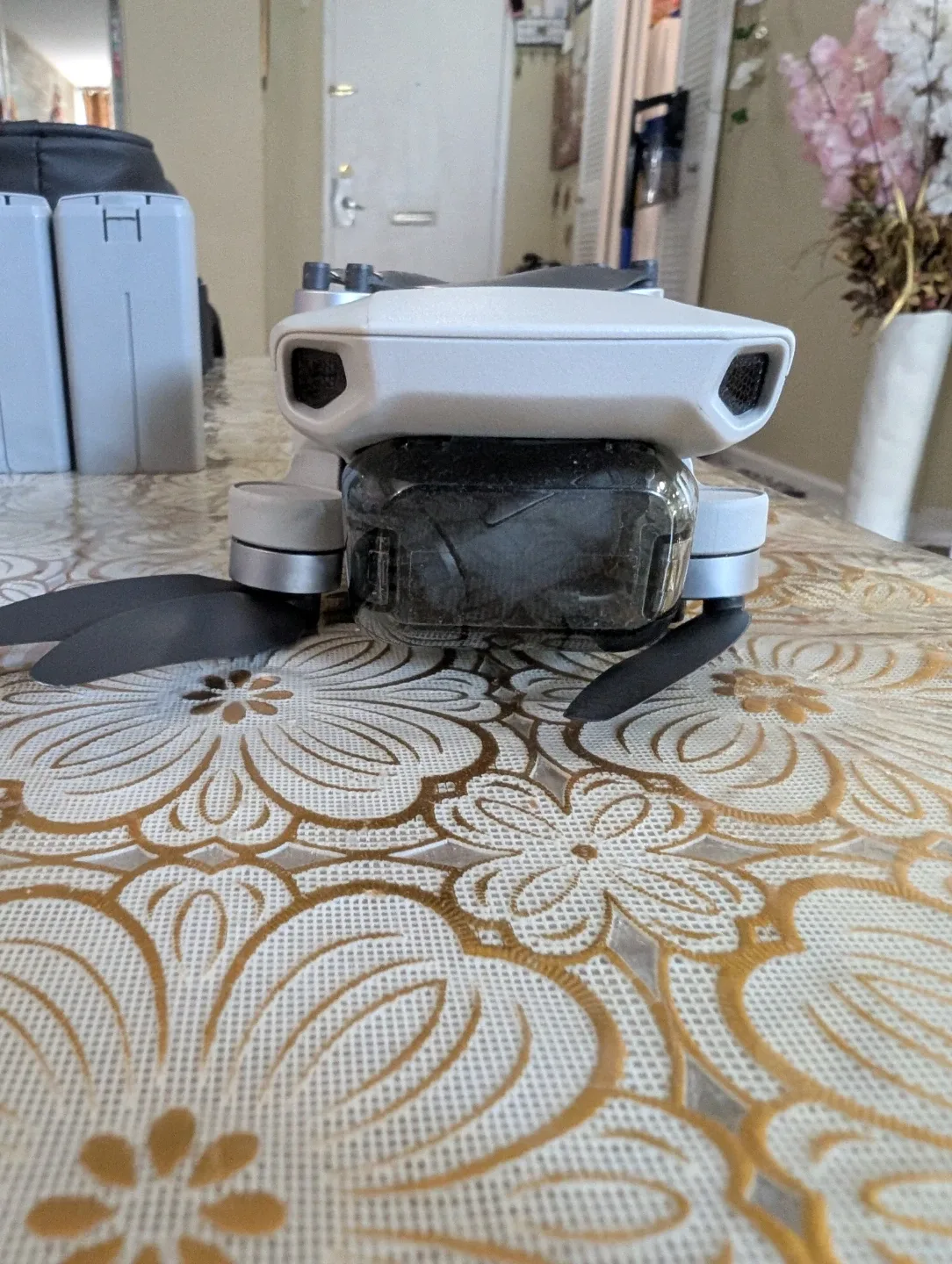 DJI Mini 2 Drone image indicator(4)