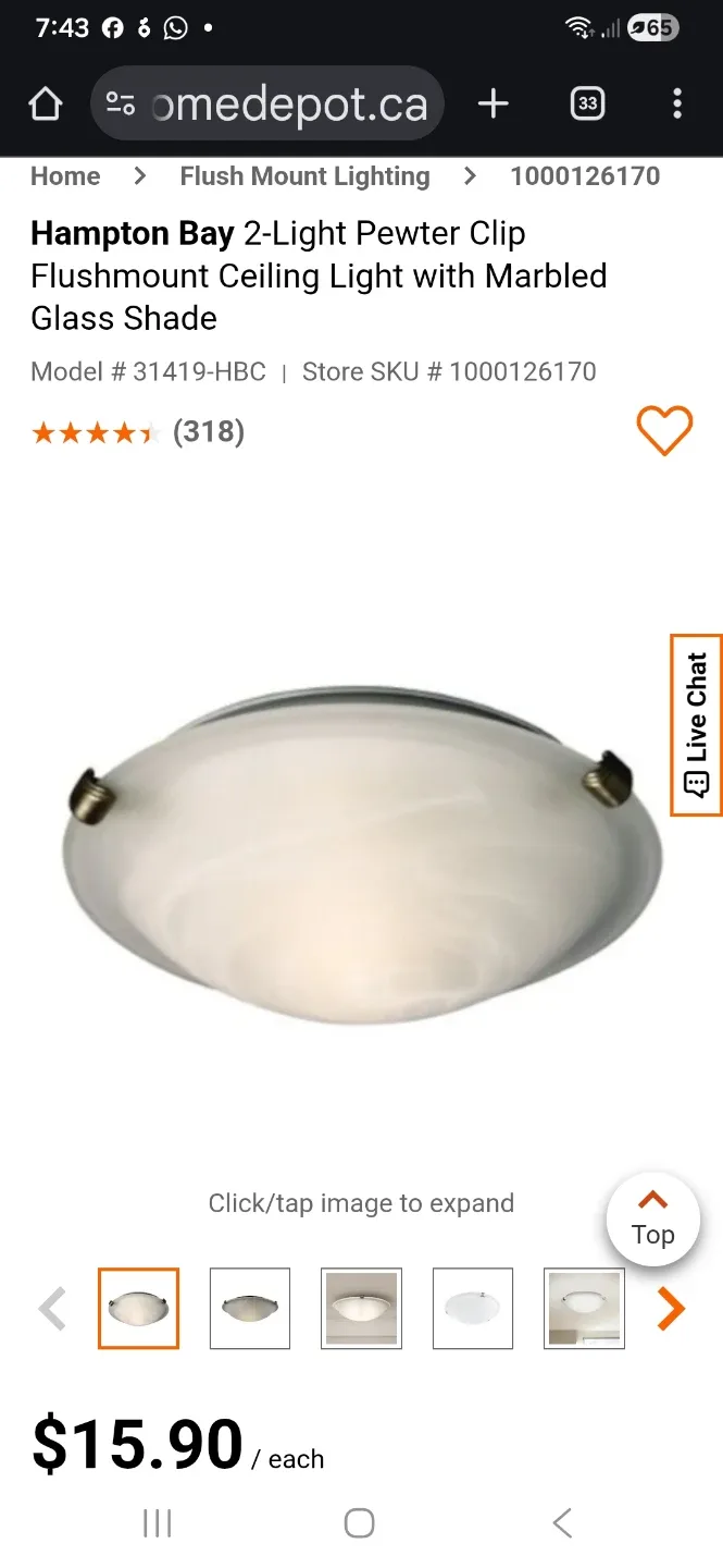 🥕 NEW Hampton Bay 2-Light Pewter Flushmount Ceiling Light 🥕 image indicator(5)