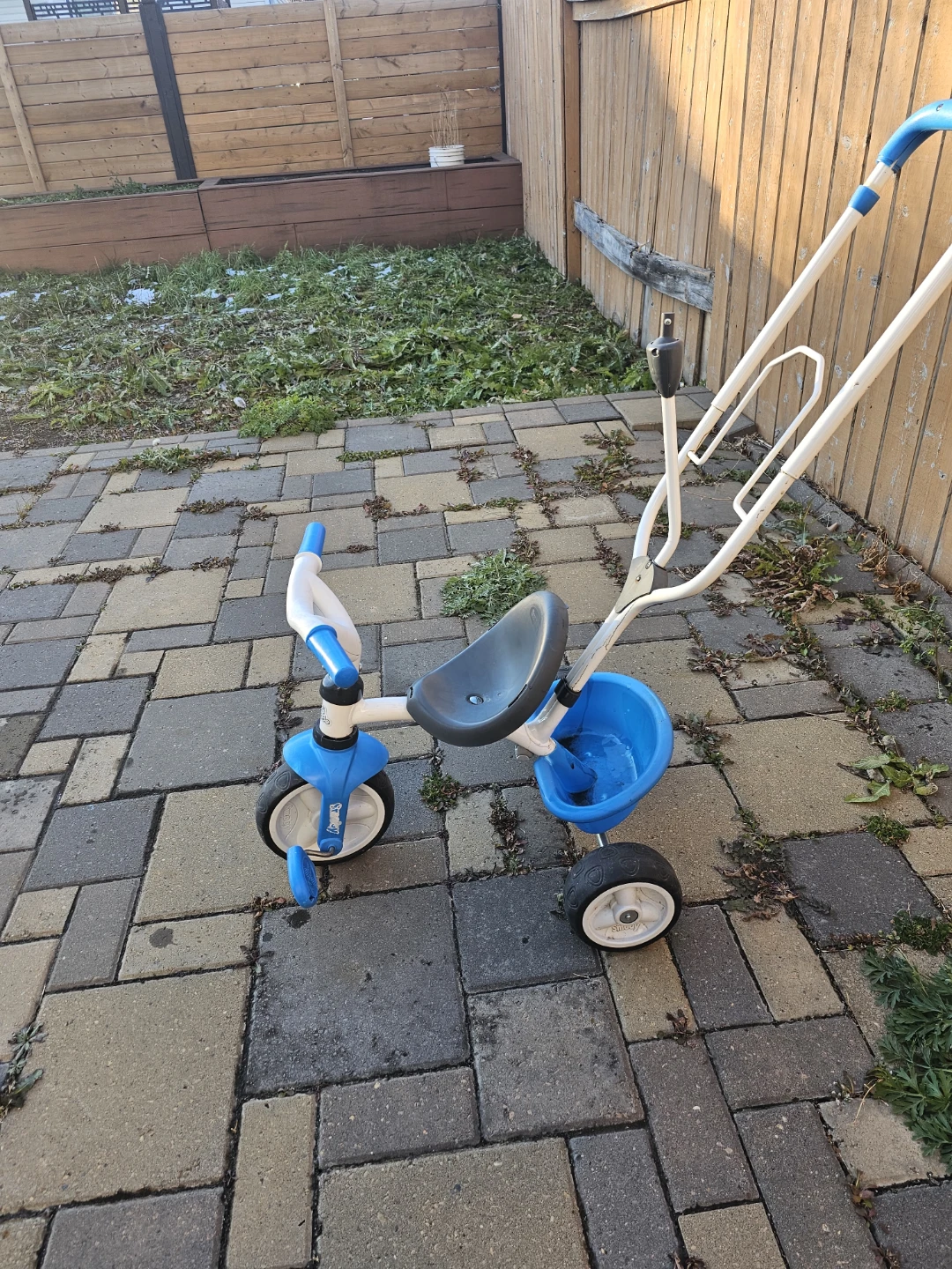 Radio Flyer Steer & Stroll Trike