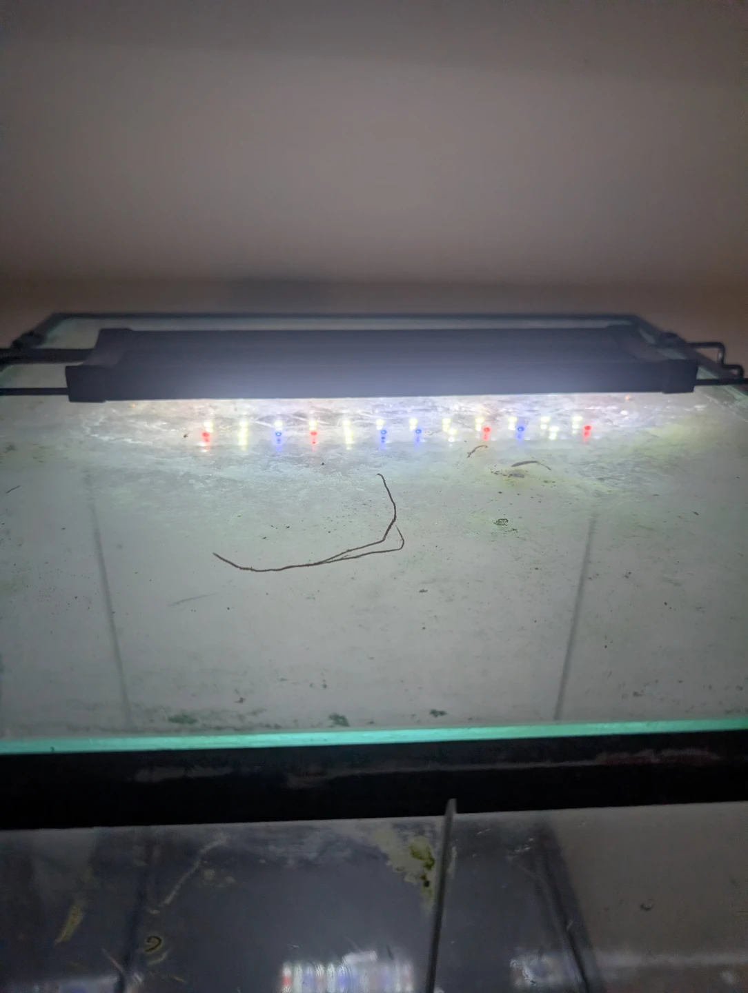 Glass Terrarium 24x18x24 inch - photo 3