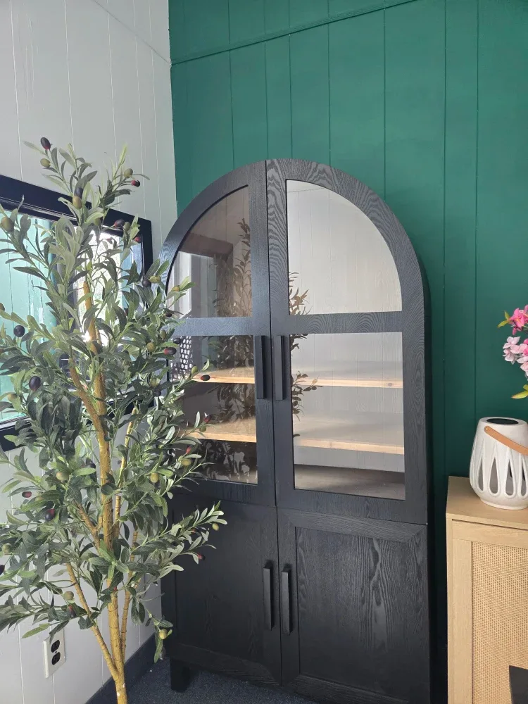 Black Arched Glass Door Display Cabinet