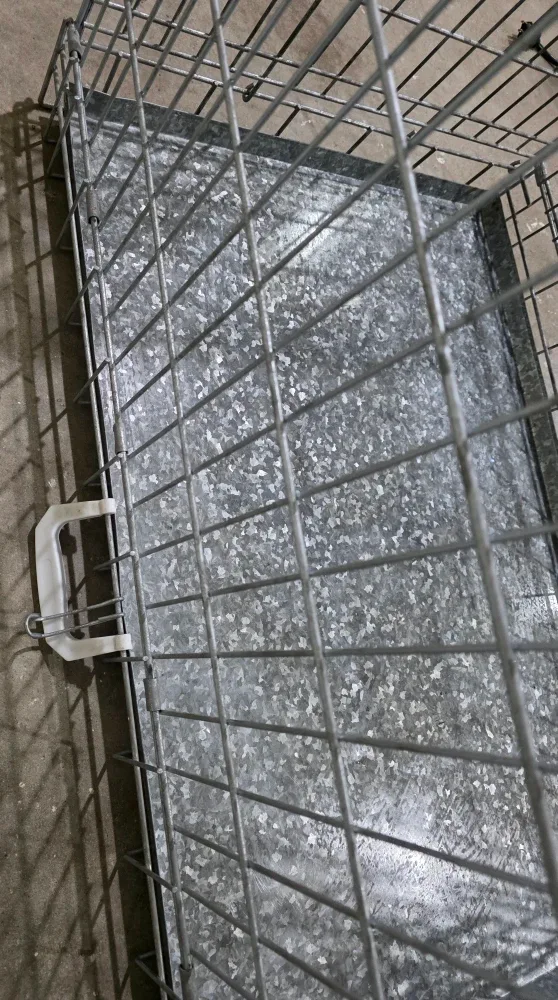 Like New Steel 2 Door Large Dog Crate image indicator(4)