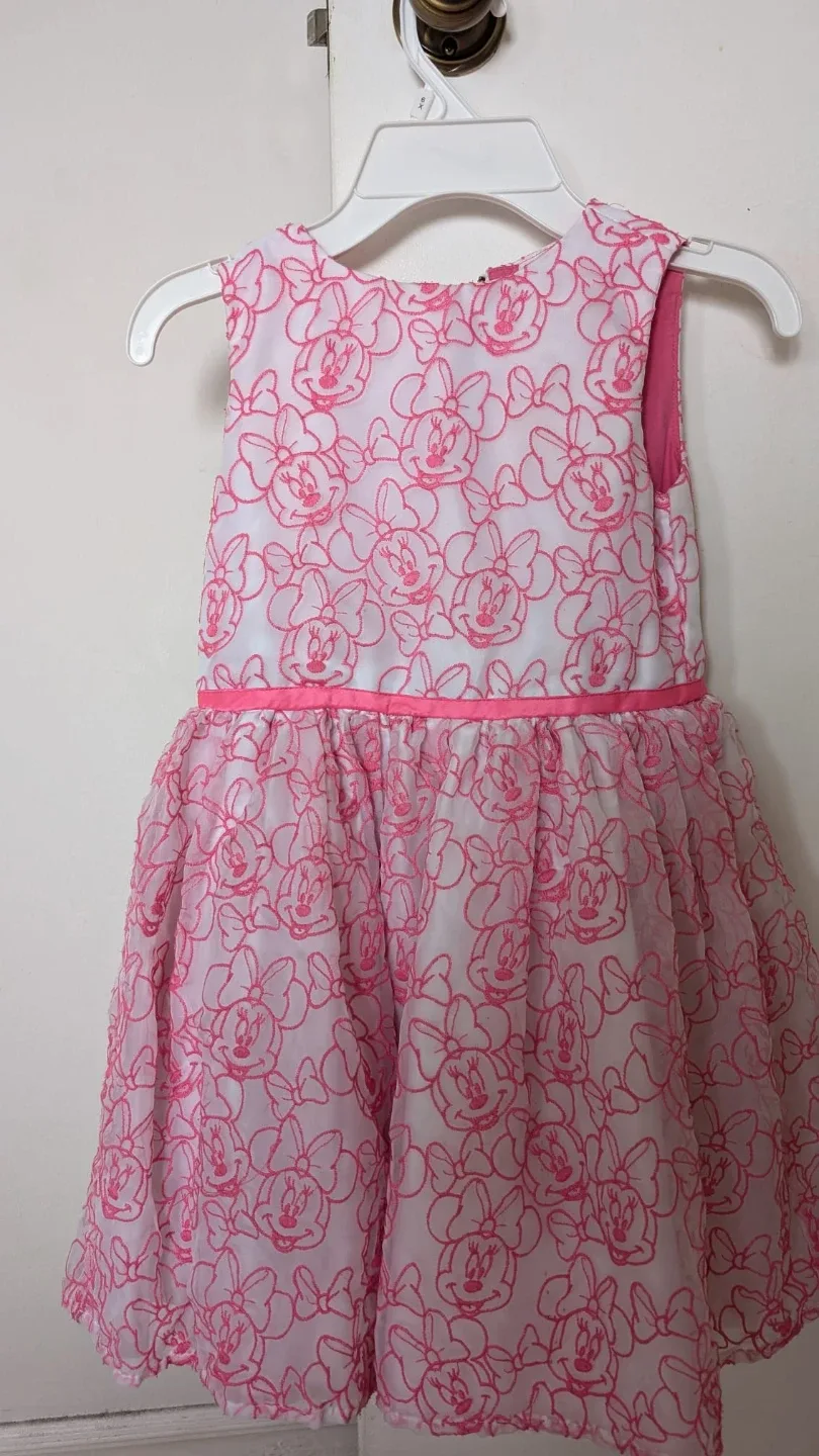 Minnie Mouse Pink & White Dress