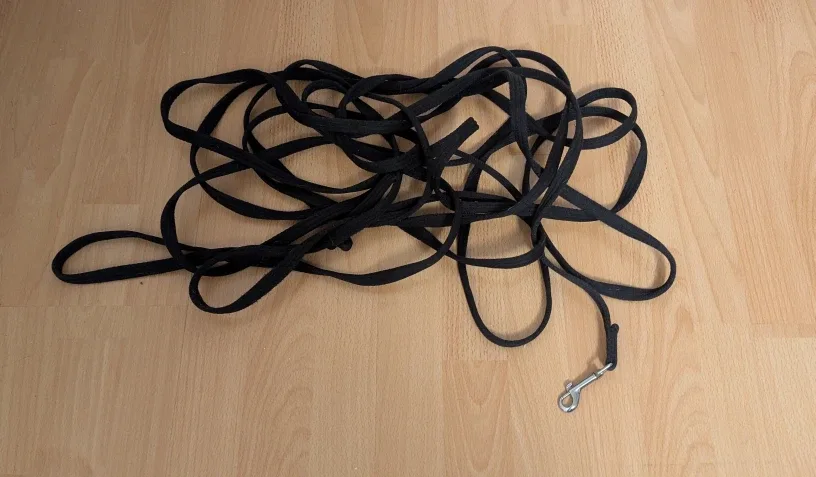 Black Dog Training Long Leash