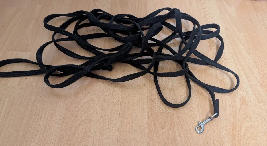 Black Dog Training Long Leash image indicator(2)