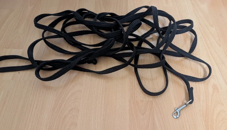 Black Dog Training Long Leash image indicator(3)