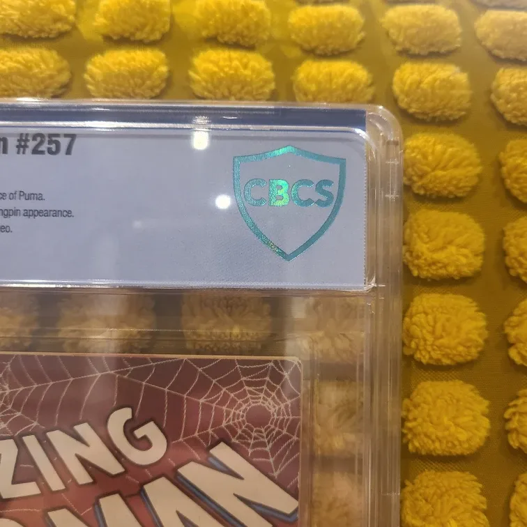 Amazing Spider-Man #257 (1984) CBCS Graded Comic Book image indicator(2)