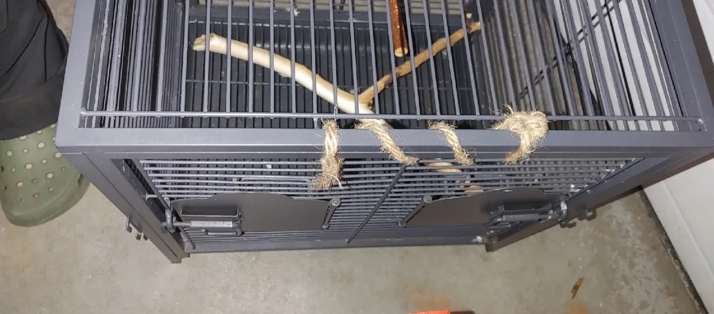 Bird Cage - Great Condition! image indicator(3)