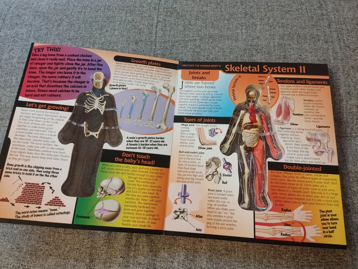 Uncover human body three dimensional image indicator(2)