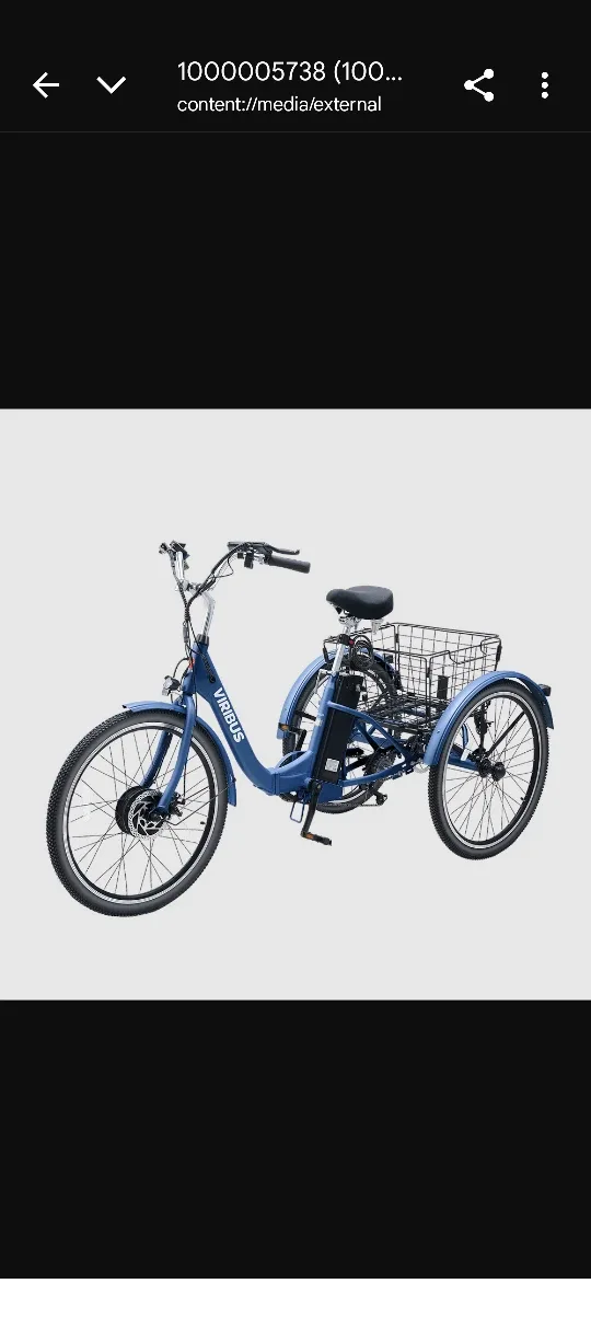 Viribus Adult Electric Tricycle - Blue