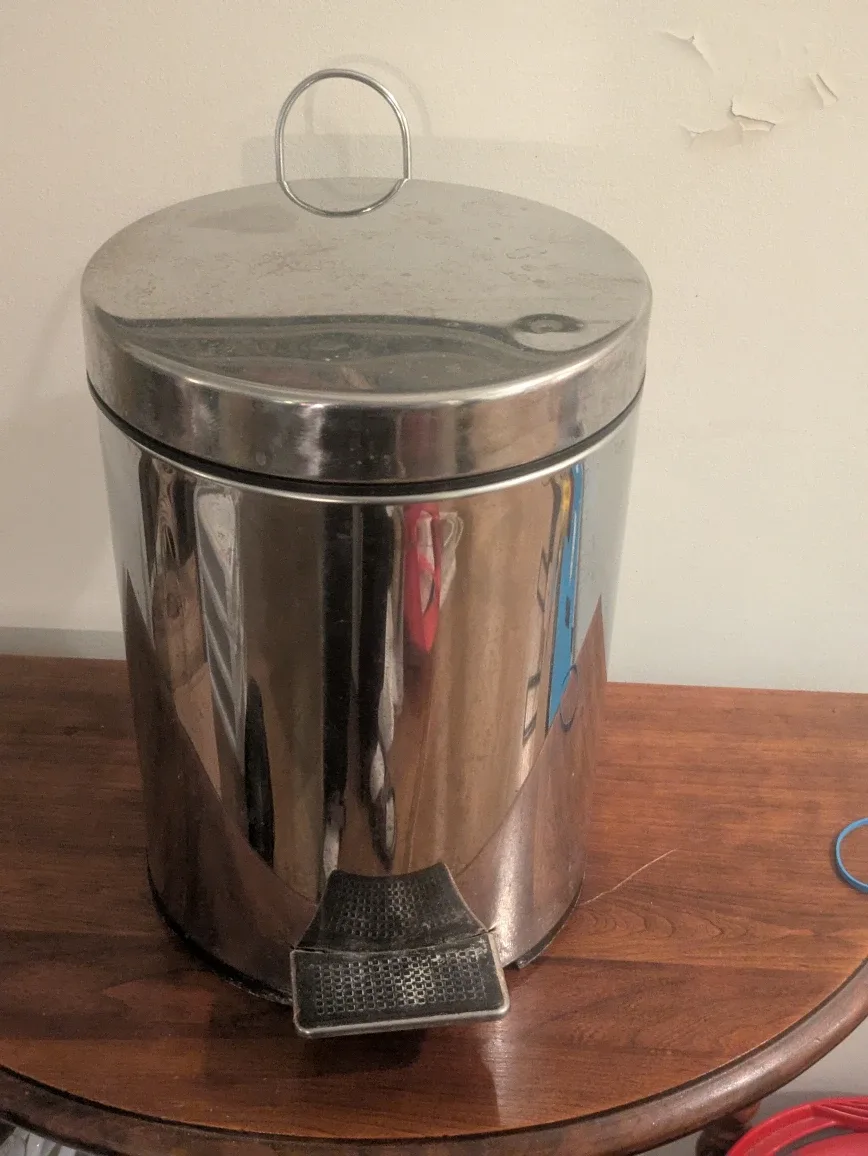 Stainless Steel Step-On Trash Can