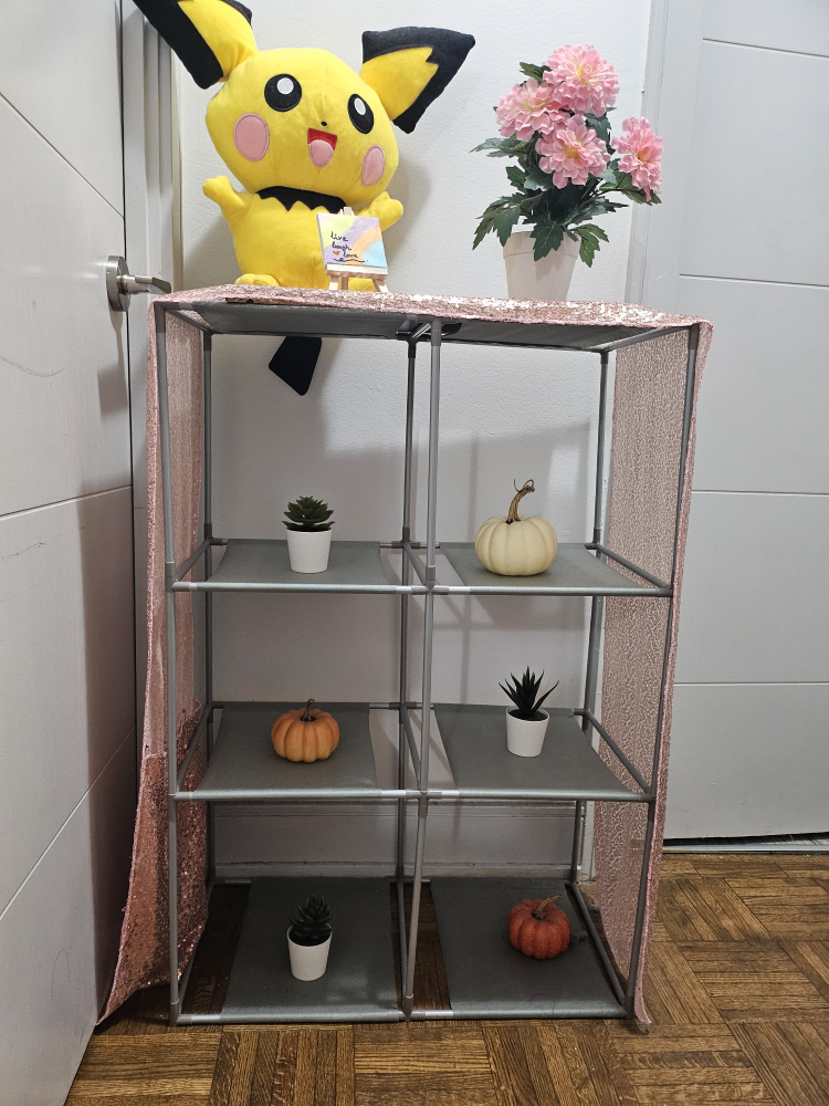 Storage or display shelf .