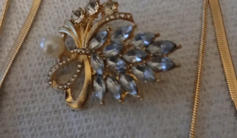 Gold Tone Herringbone Chain Necklace & Brooch Set image indicator(2)