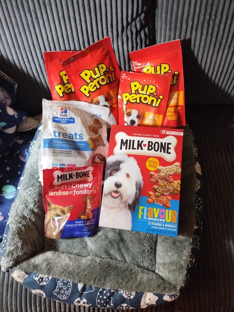 Various dog Treats and accessories