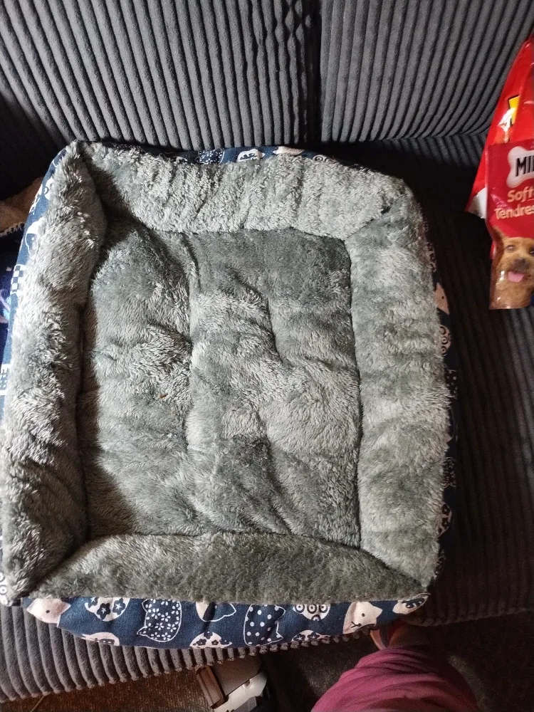 Various dog Treats and accessories image indicator(6)