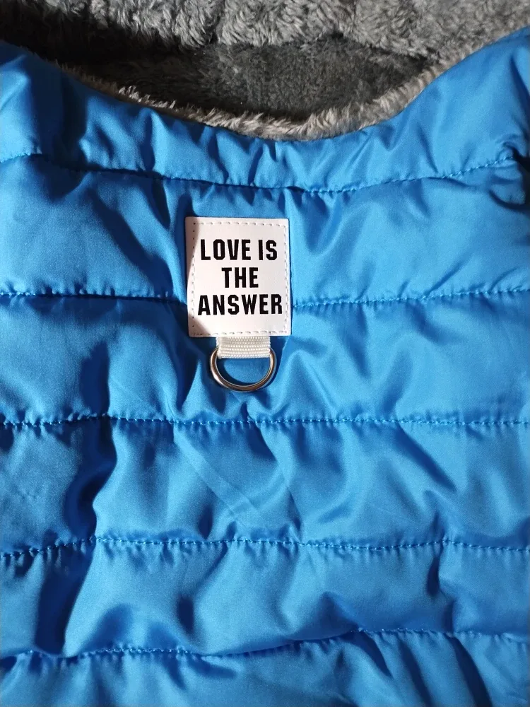 Various dog Treats and accessories image indicator(8)