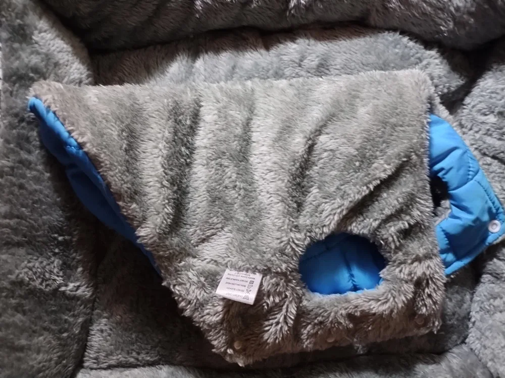 Various dog Treats and accessories image indicator(9)