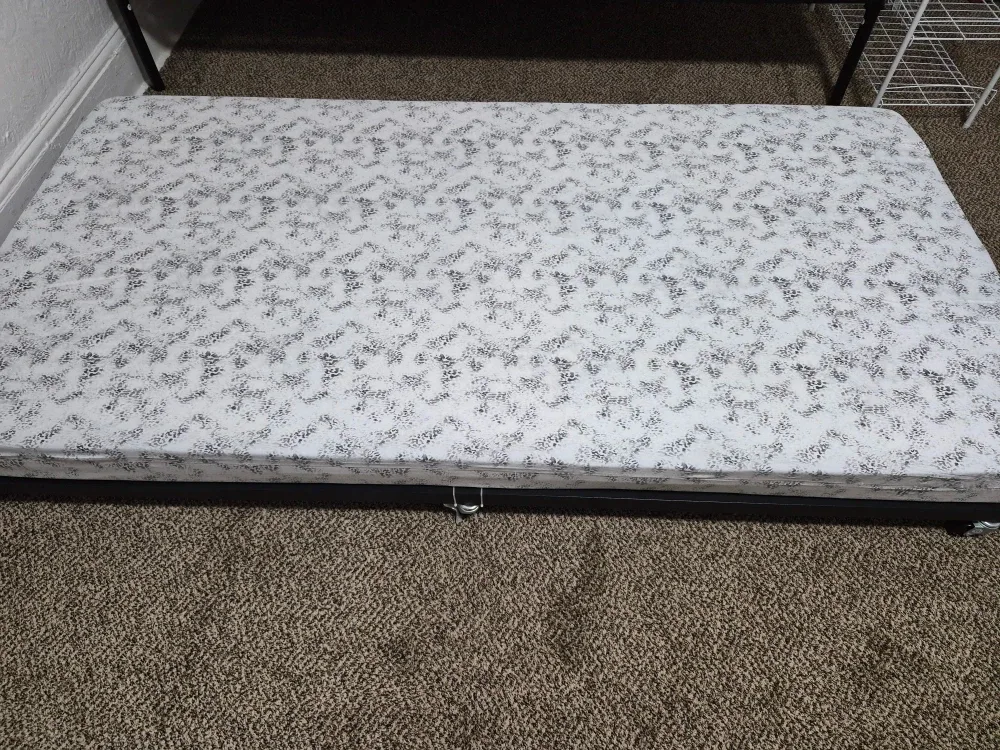 Twin Size Mattress
