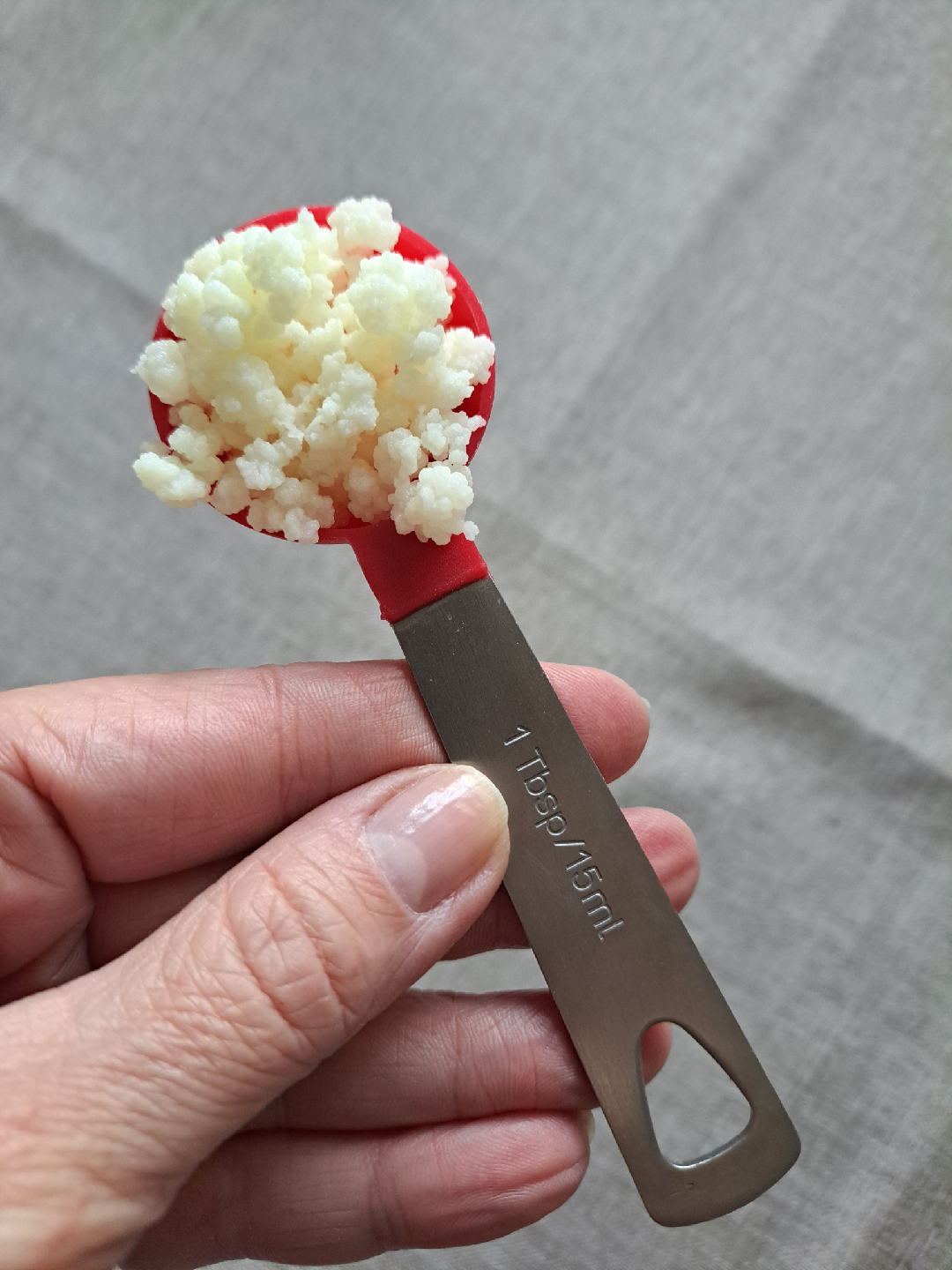 Kefir Grains