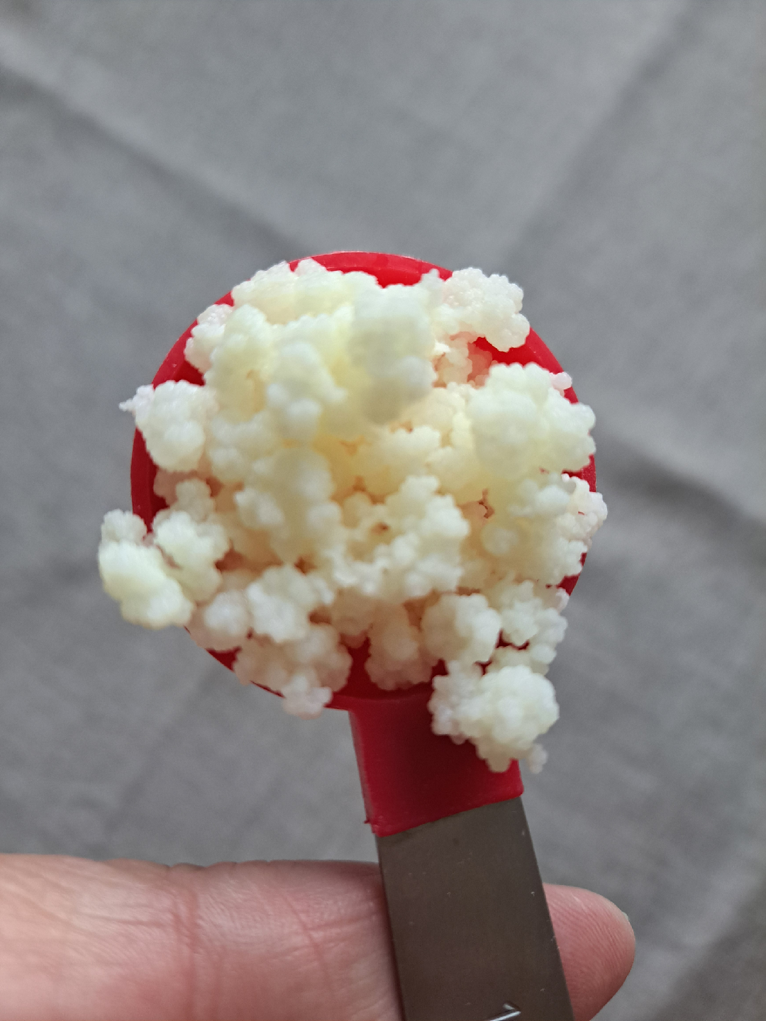 Kefir Grains - photo 2