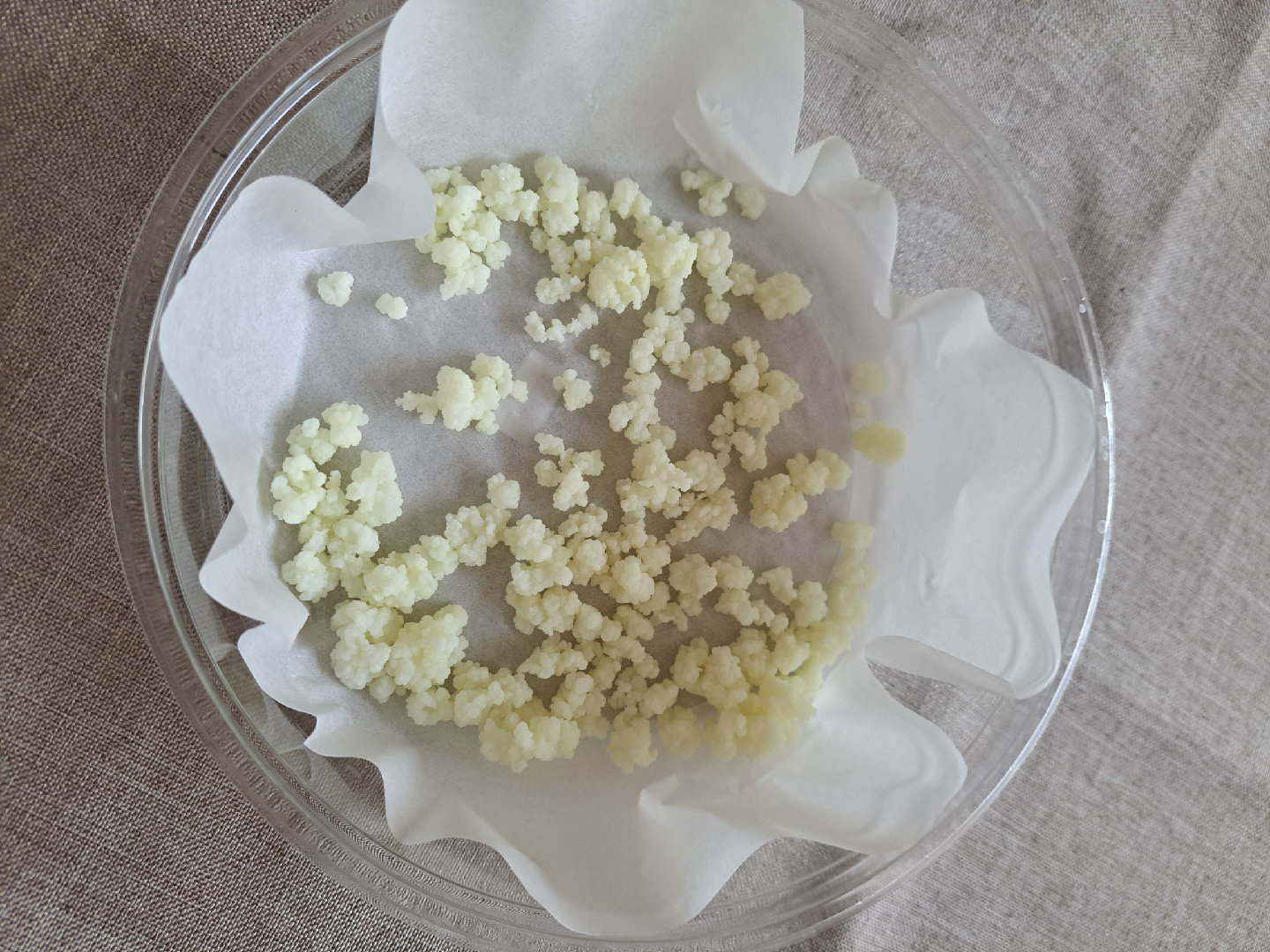 Kefir Grains - photo 3