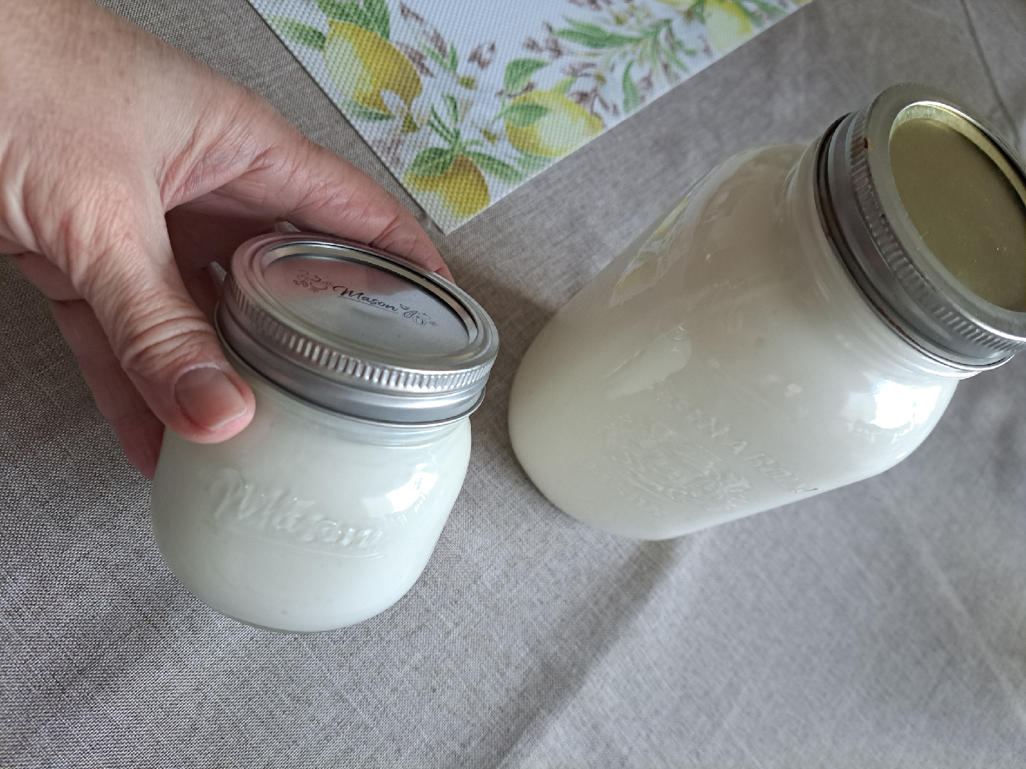 Kefir Grains - photo 4