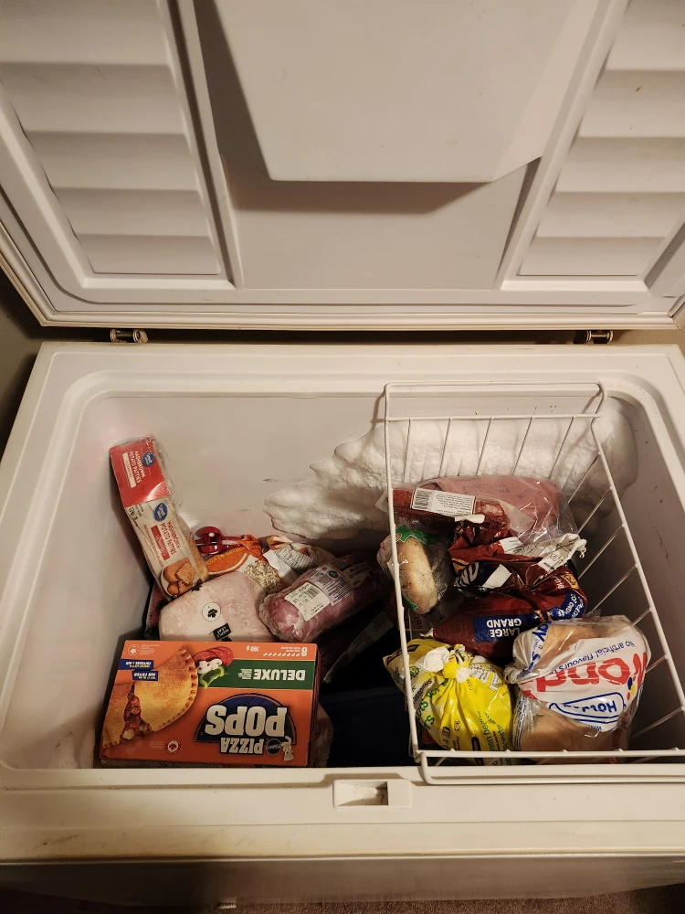 Freezer (food not included) - photo 3