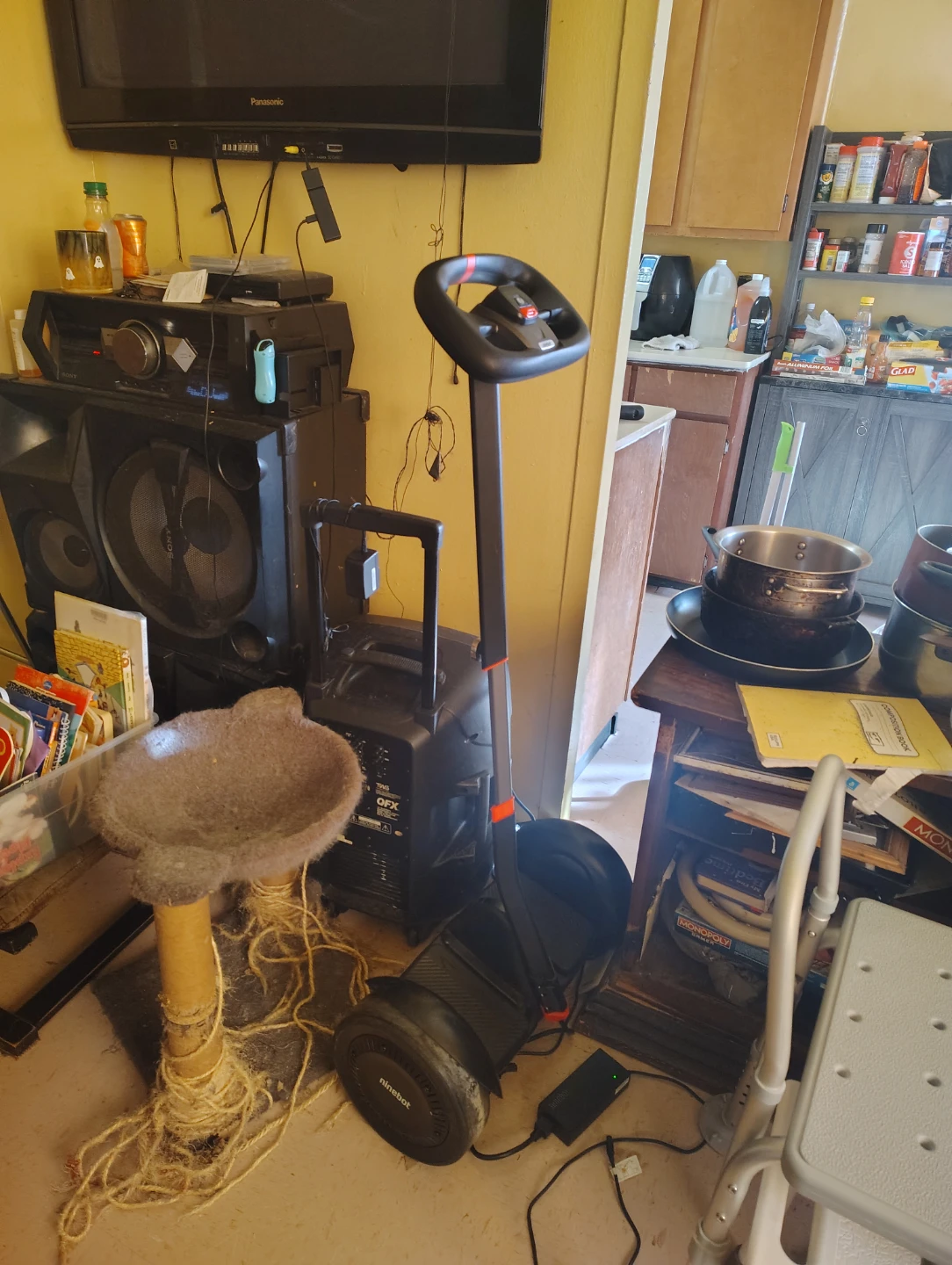 Ninebot Segway Electric Scooter