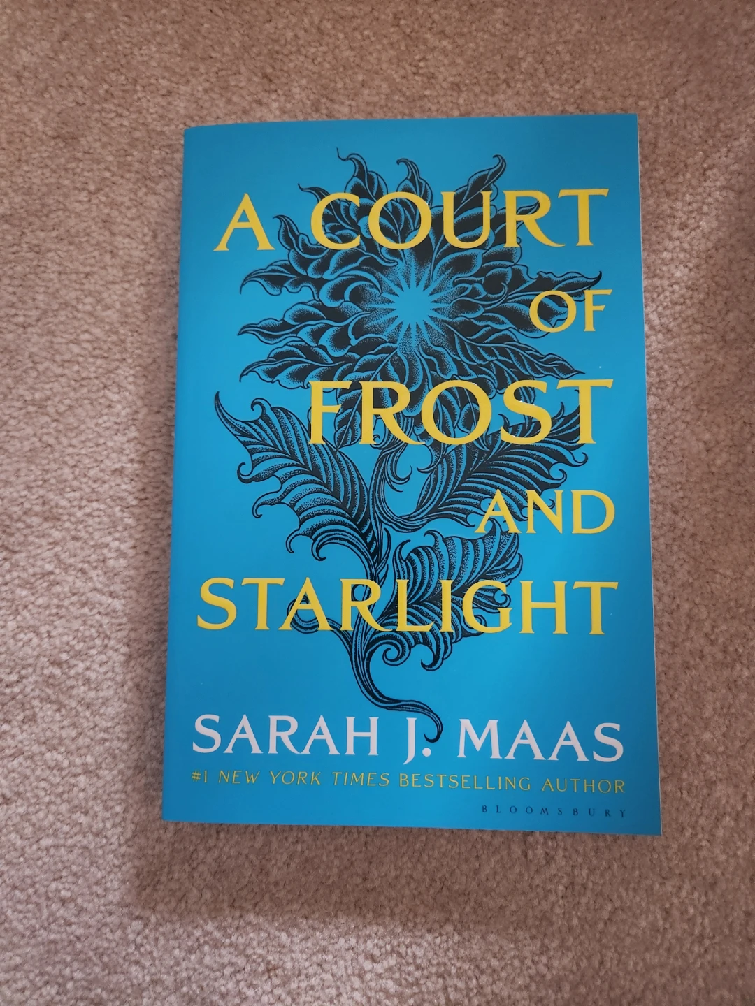 A Court of Thorns and Roses Series by Sarah J. Maas - photo 5