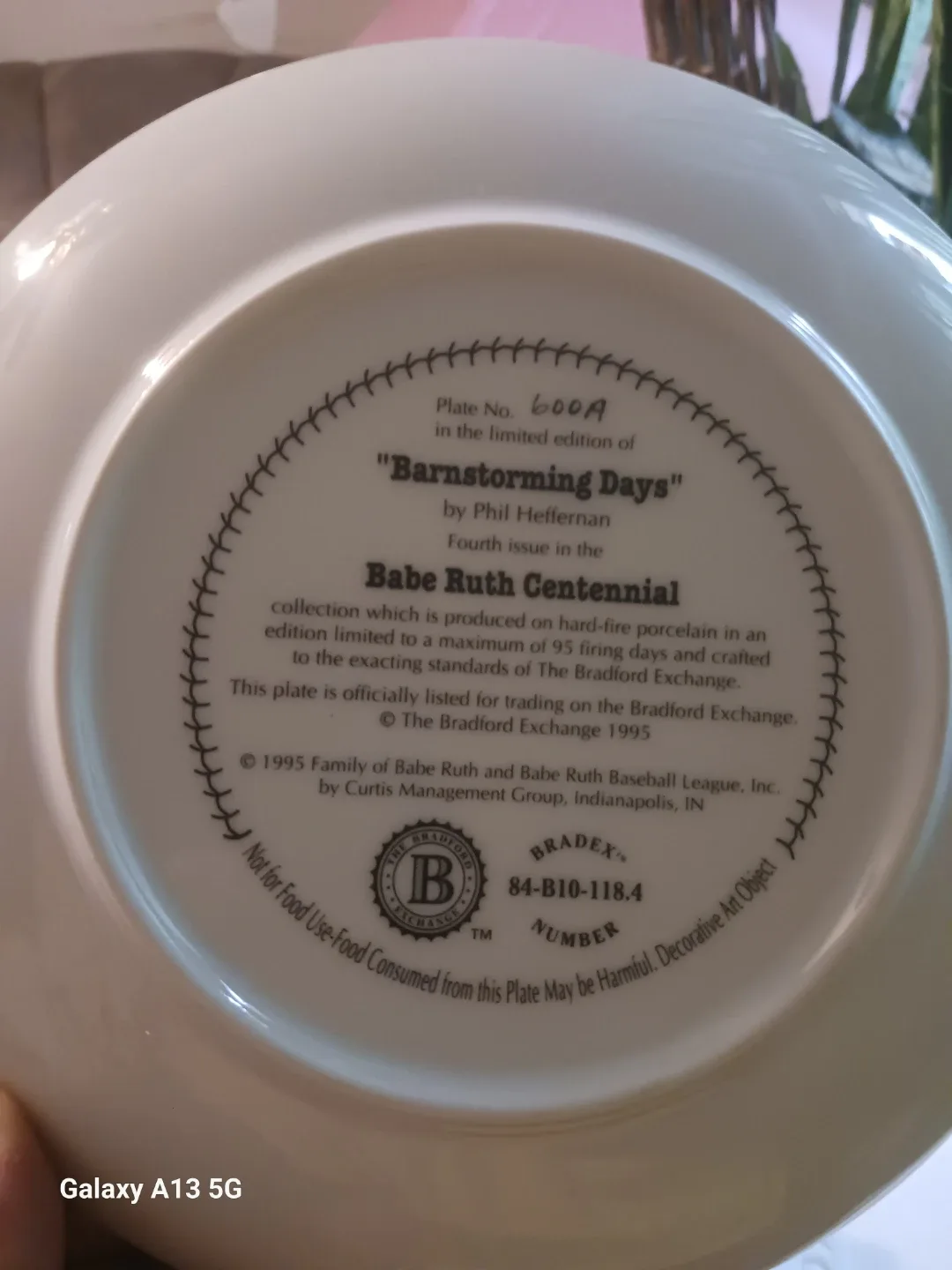 Babe Ruth "Barnstorming Days" Plate image indicator(3)