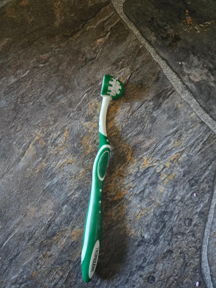 TropiClean Dog Toothbrush