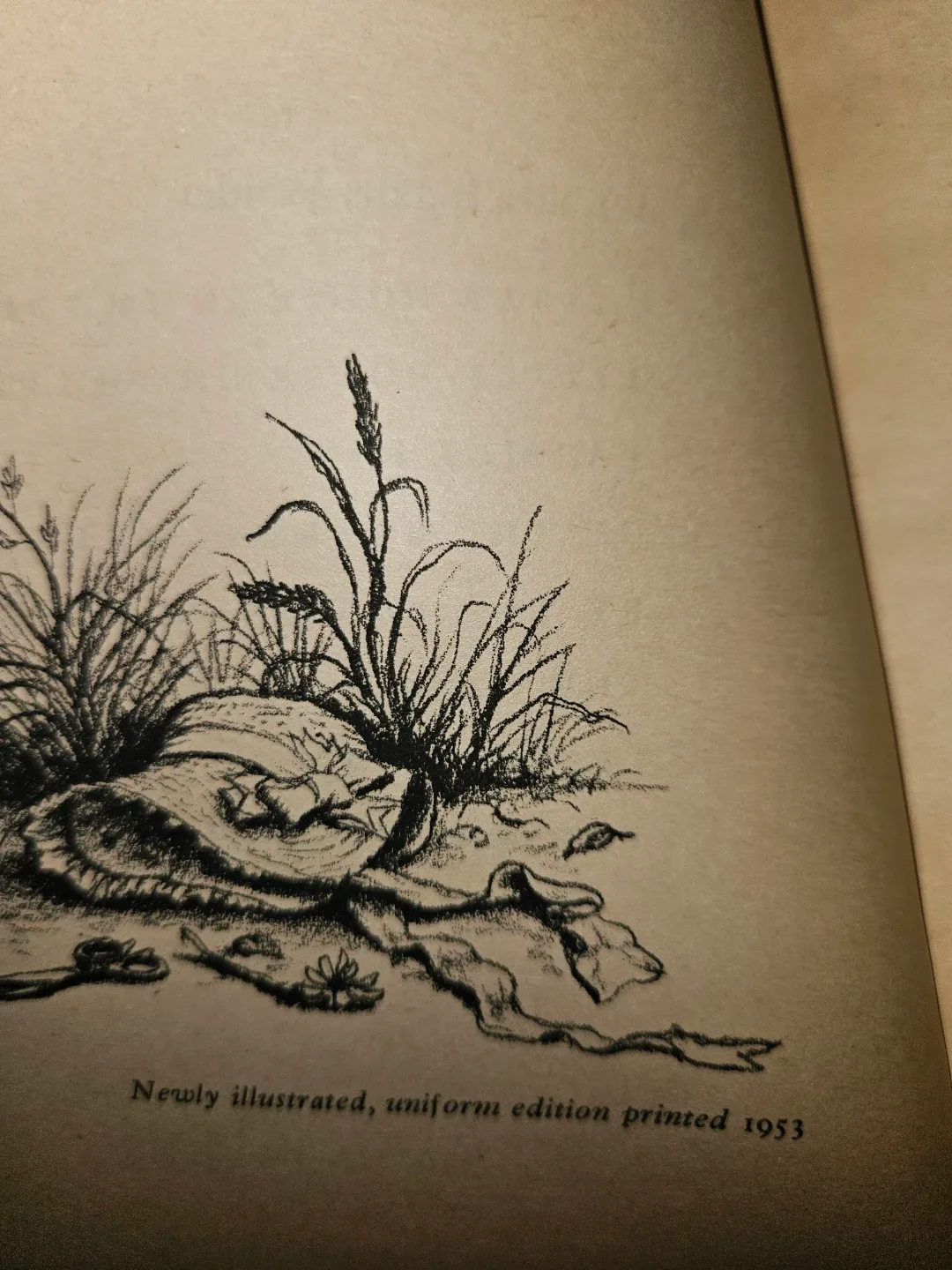 Little House Books by Laura Ingalls Wilder image indicator(7)