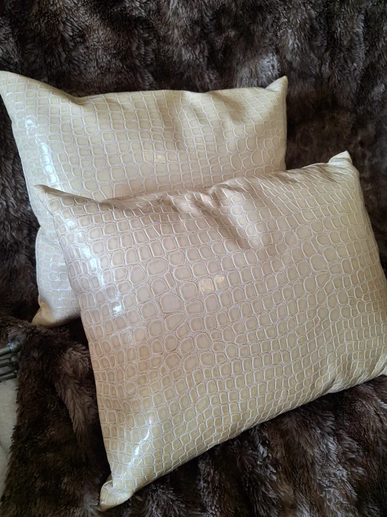 Candice Olson Decorative Pillows - Set of 2