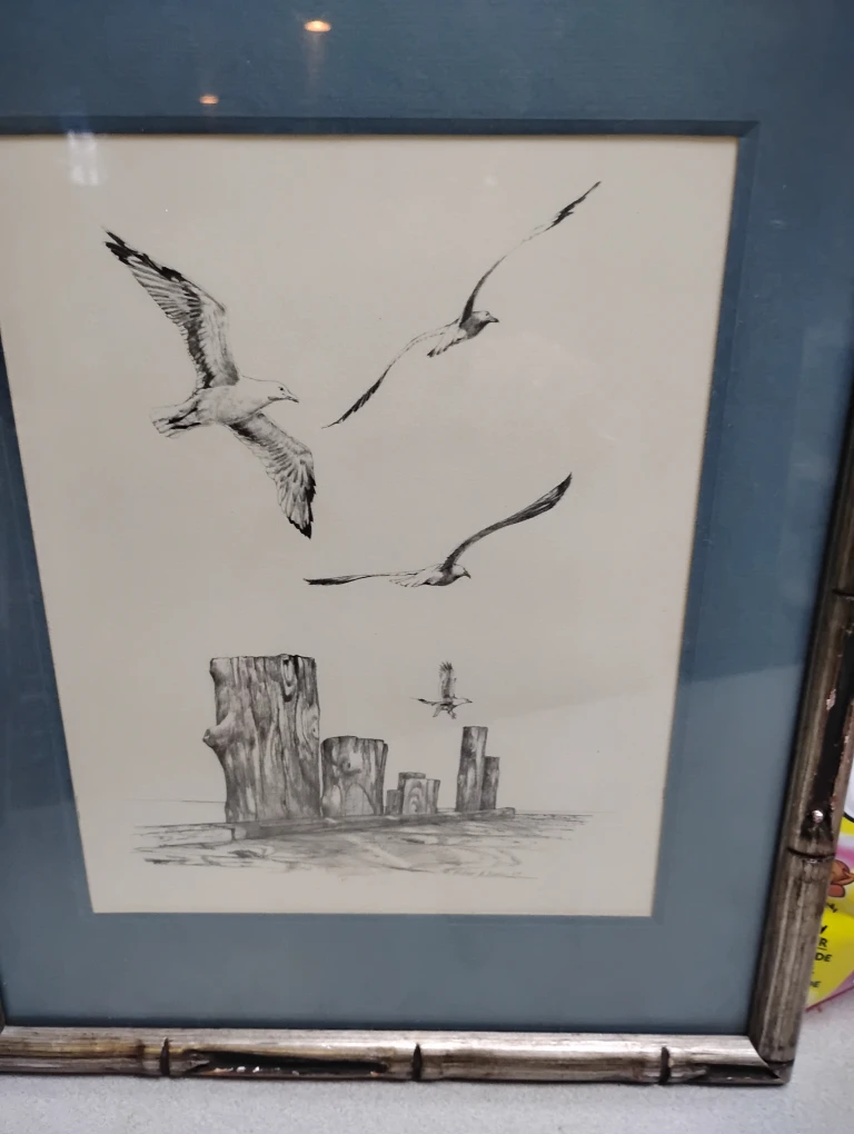 Sea Gull Pencil Drawing from 1979