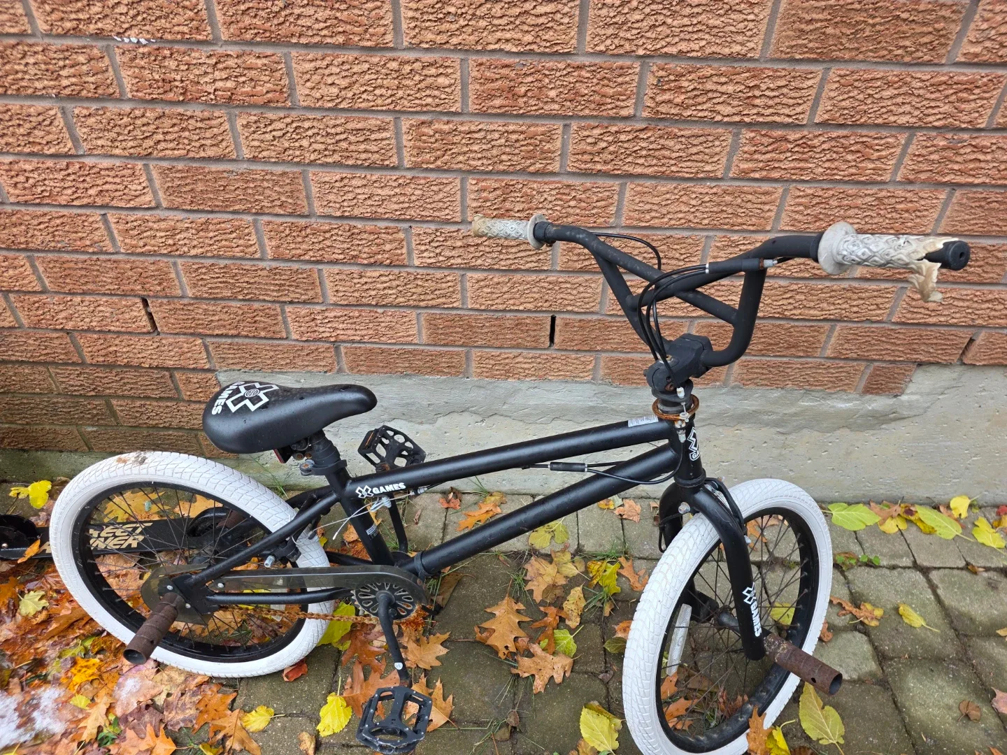 20" X Games BMX Bike - Model 12099C image indicator(4)